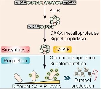 權威認定！大工校友企業榮膺工信部首批“卓越級智能工廠”及“實數融合典型案例”雙項榮譽