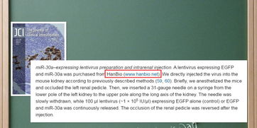 恭賀漢恒產品榮登JCI雜志，影響因子13.215，彰顯辦公設備創新實力